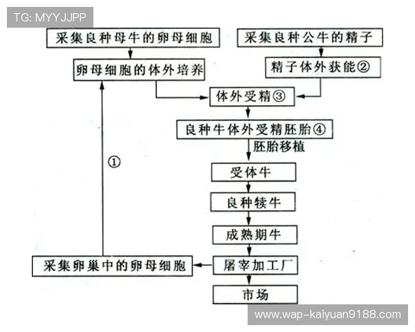 欧博官方网上注册流程常见问题及解决方案全解析